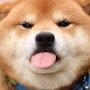 @JustBork