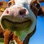 @Moomoocow-uj6rc