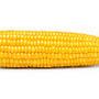 @Corn-co43
