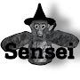 @SENSEIP