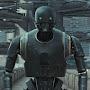 @thesurvivalman3535