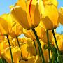 @M1996-q9w