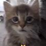 @yihan765