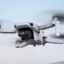@redronetoyfernandopolis8941