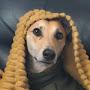 @muttsnutsNAFO