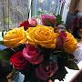 @susanstricker3739