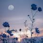 @bharatdixit7281