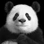 @Just_me_and_my_panda
