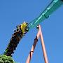 @Kumba9