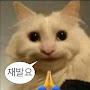 @콰광-c