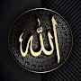 @aymanali7344