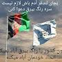 @sanazafghan