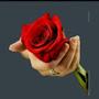 @chetsr2980