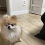 @초코사랑