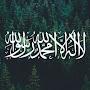 @abo_Dina