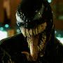 @Venom_dragons_2