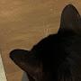@user-vg9uk3fh9y