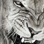 @lionsden.1