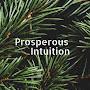 @Prosperous.Intuition