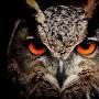 @user-ww5ol9hi5n