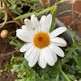 @Sunshineday-p9w