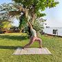 @yoga_with_sandhya