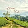 @WhispersofCalm04