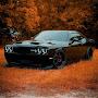 @Automobiles-t56
