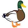 @cloverduckgaming