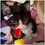 @Prince_t14
