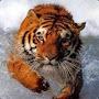 @WyldestZakk1980