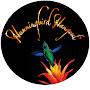 @hummingbirdhangout6152