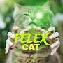 @Felex_CAT99