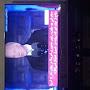 @g..a..ahmadi1176