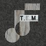 @T.E.M.violinacademy