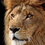 @ahmedkassem7679