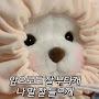 @라라혁이
