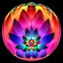 @27051959ful
