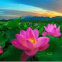 @giang1991k9