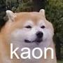 @KindaKaon