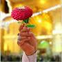 @zzaaalsudani9261