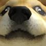 @Douchdog14YT