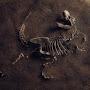 @OldFossil