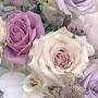 @smilesmile1564