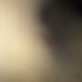 @akedam2633