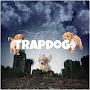 @TrapDoggys