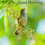 @giribabu5676