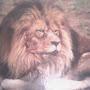 @alvinwilburn1090