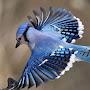 @Jawsome-ou9ke