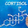 @cort1sol880